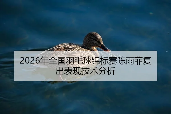 2026年全国羽毛球锦标赛陈雨菲复出表现技术分析