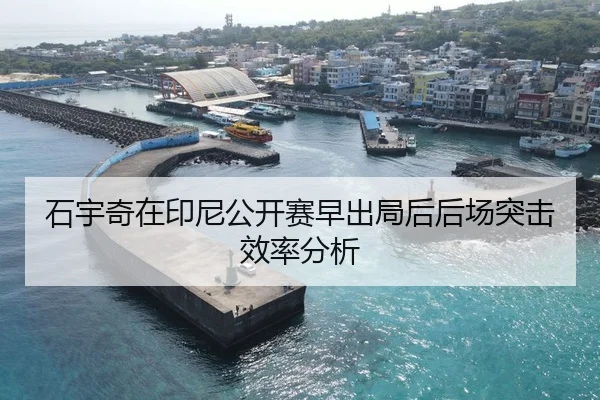 石宇奇在印尼公开赛早出局后后场突击效率分析