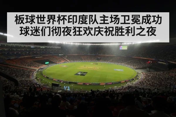 板球世界杯印度队主场卫冕成功球迷们彻夜狂欢庆祝胜利之夜