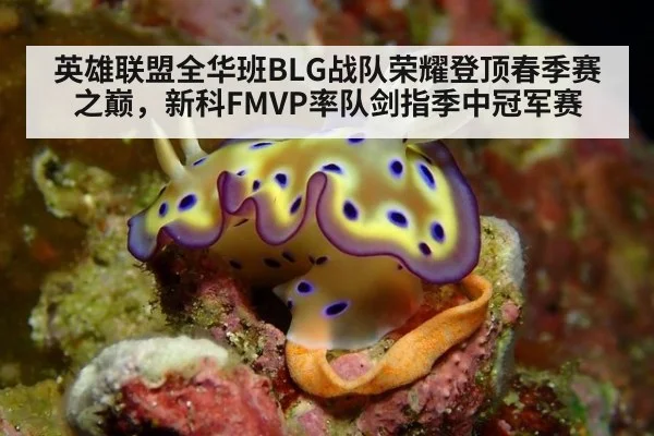 英雄联盟全华班BLG战队荣耀登顶春季赛之巅，新科FMVP率队剑指季中冠军赛
